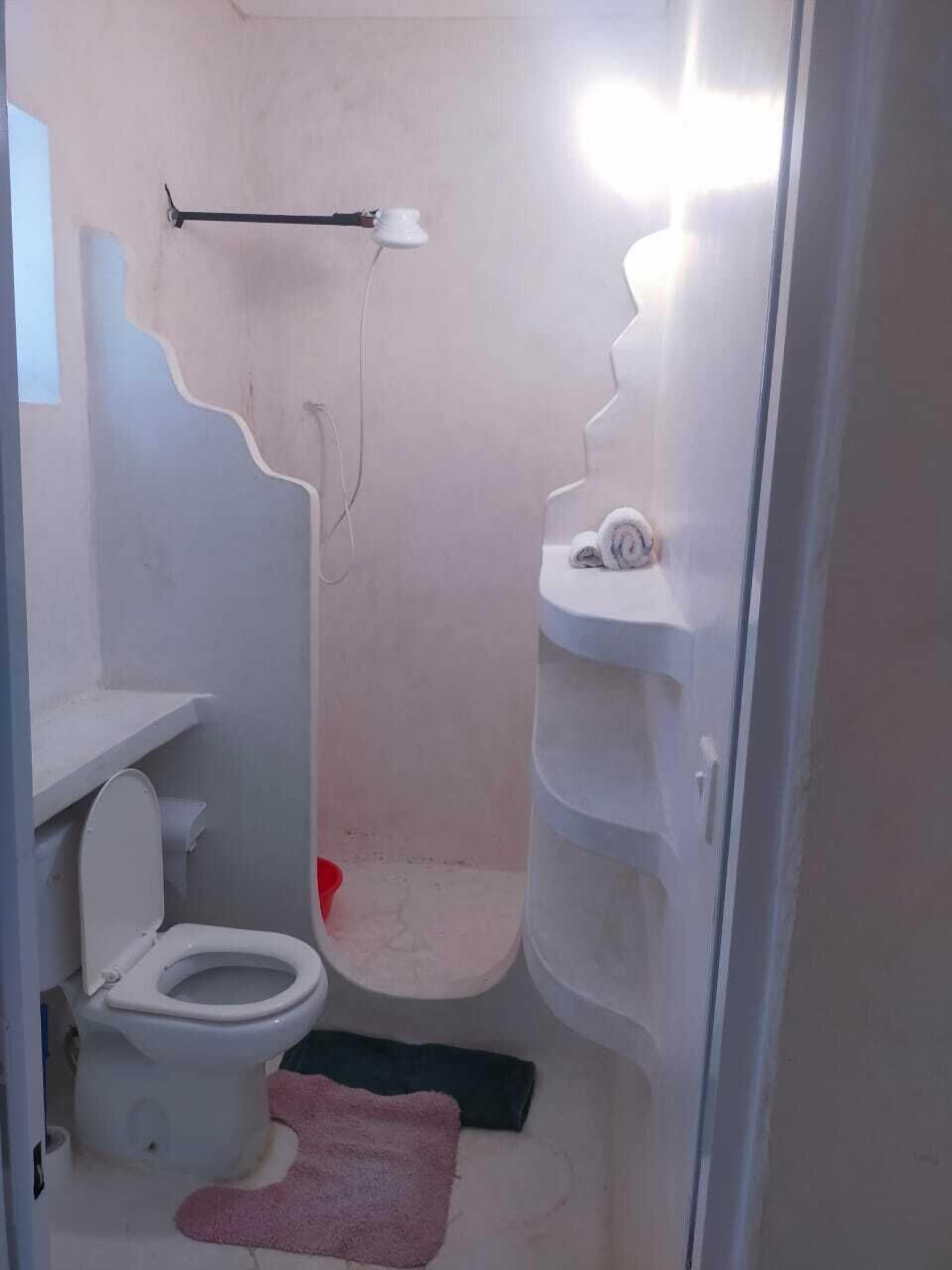 Une petite salle de bain comprenant des toilettes, un lavabo et une cabine de douche.