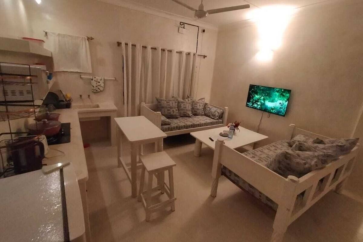 Un espace de vie compact comprenant un coin cuisine, un canapé, une table basse, un téléviseur et un ventilateur de plafond.