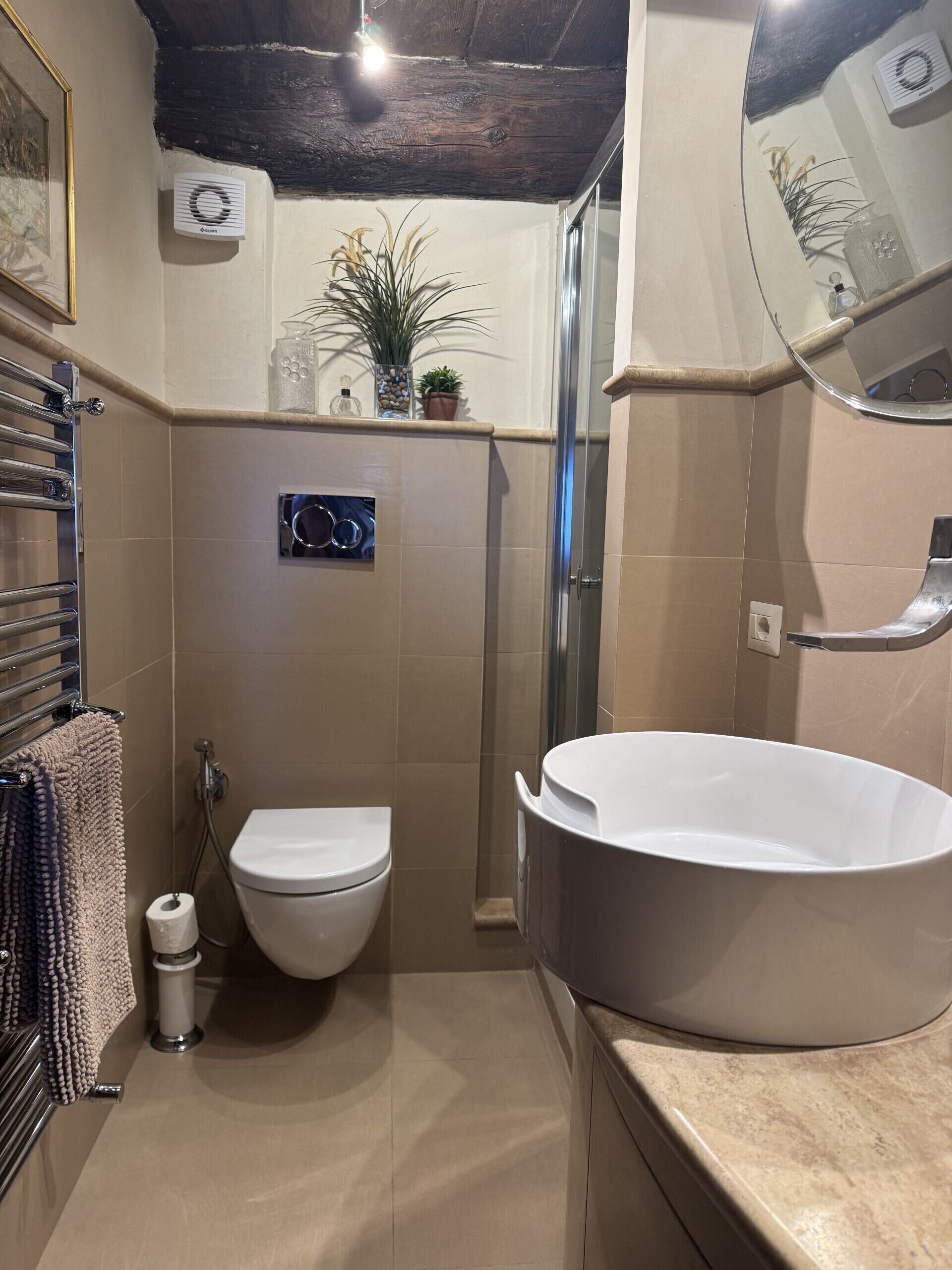 Une salle de bain avec un lavabo, des toilettes et une douche, le tout de couleur blanche. On y trouve un porte-serviettes avec une serviette, une plante en pot et un miroir accroché au mur.