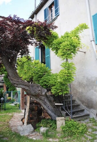 The Garden Of History