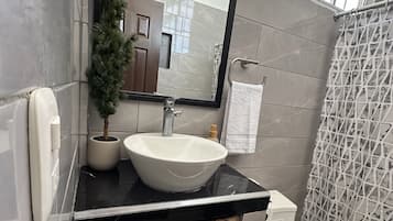 Secadora de cabello, toallas, papel de baño