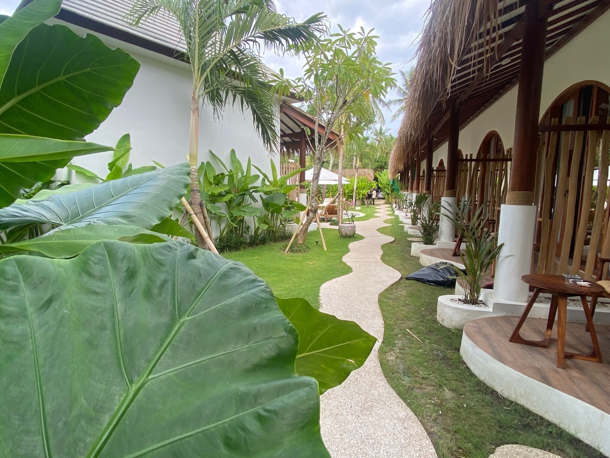 Comfort Single Room, Garden View