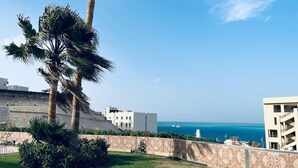 Vista sulla costa con una zona erbosa, palme e edifici con balconi che si affacciano sul mare.