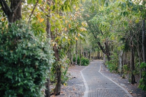 Property grounds - Samui Fishing Club & Resort (Ko Samui)