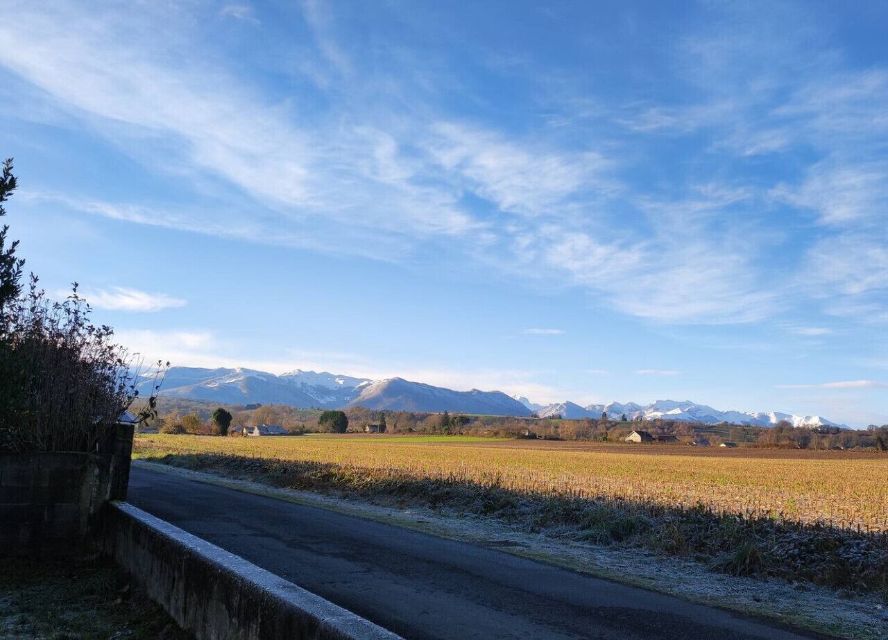 A rural landscape with a road, fields, and mountains in the background.