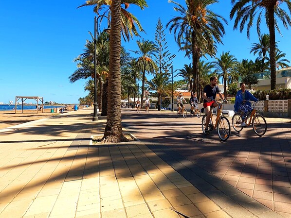 A paved walkway with palm trees and cyclists. - Bright Apartment with Expansive Poolside Balcony (Mar de Cristal)