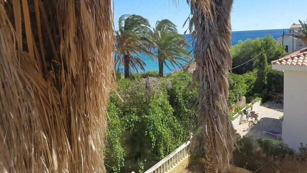 Een balkon met uitzicht op zee en palmbomen.