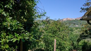 A lush garden with dense foliage and a view of a distant hilltop settlement. - Room 'Camera D'ambra' with Private Terrace, Private Garden and Wi-Fi (Campiglia Marittima)