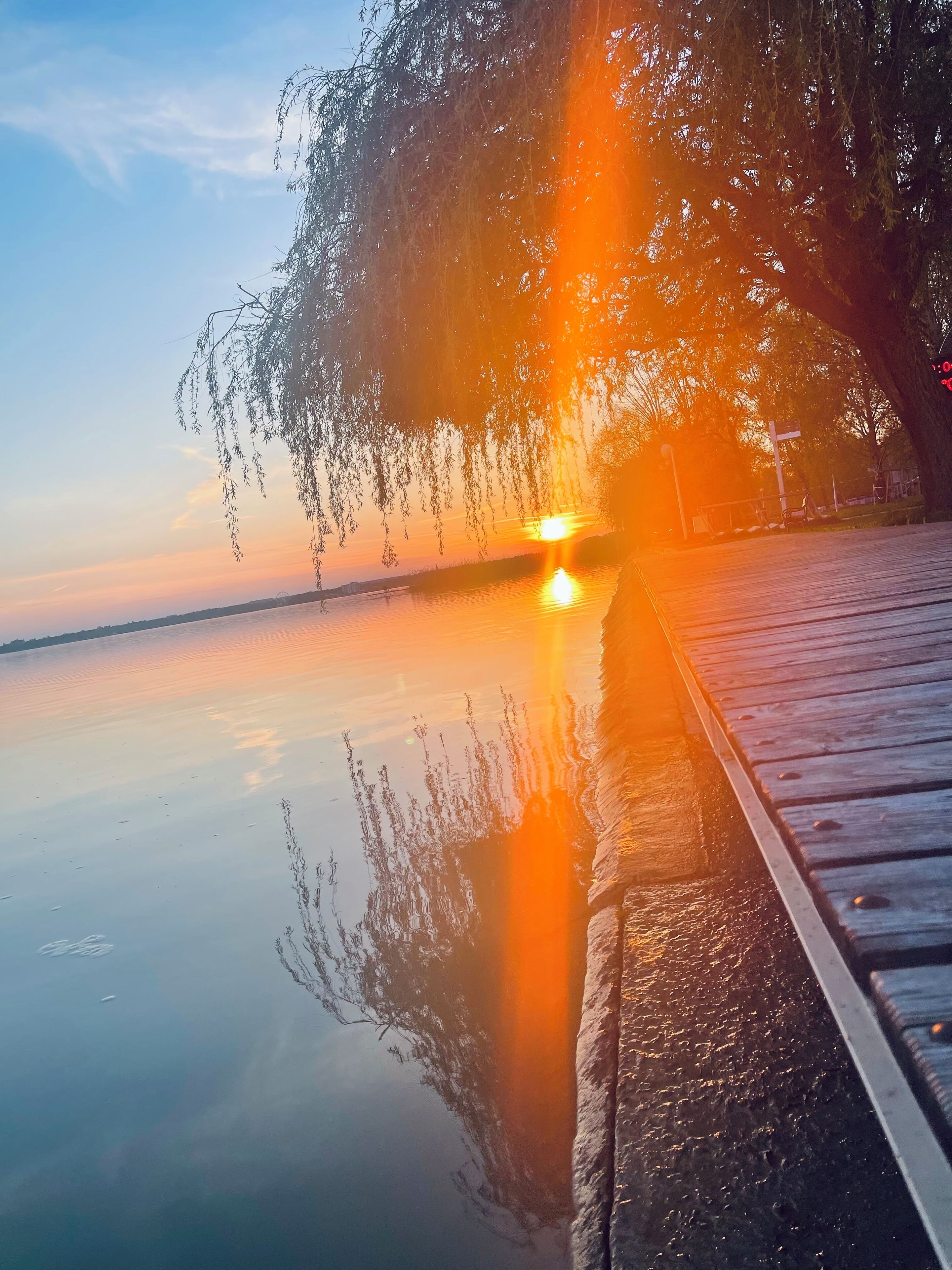 Eine friedliche Uferlandschaft mit einer Holzsteganlage, die sich ins Wasser erstreckt, umgeben von Bäumen und blauem Himmel.