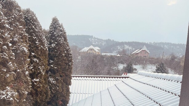 Una mano sosteniendo una taza con una pajita, mirando por una ventana un techo y árboles cubiertos de nieve.