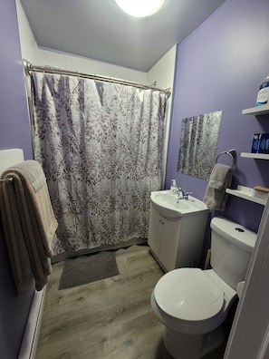 Northside Comfort! Pet Friendly Budget Rental close to HSC and The ...