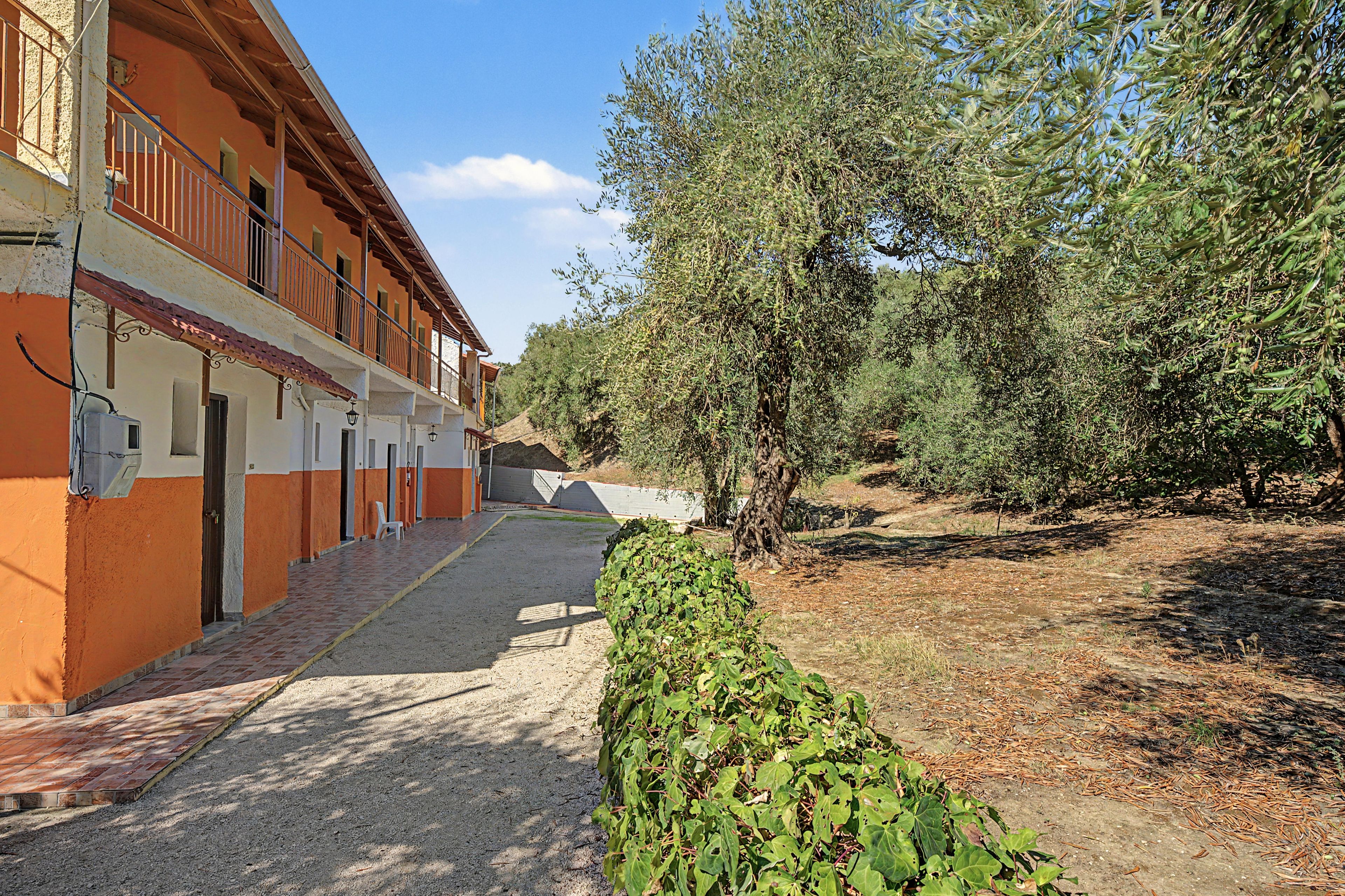 A building with a tiled walkway, a bench, and a row of olive trees.