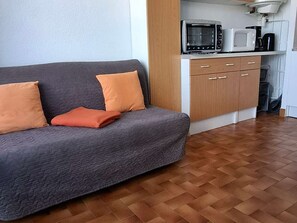 TV - Cozy studio, pets allowed - 2 guests (Balaruc-les-Bains)