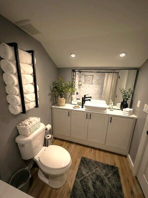 Une salle de bain moderne avec des toilettes, un lavabo et un miroir. On y trouve des serviettes sur un porte-serviettes, une plante en pot et un tapis sur le sol.