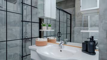 Dusche, Haartrockner, Bidet, Handtücher