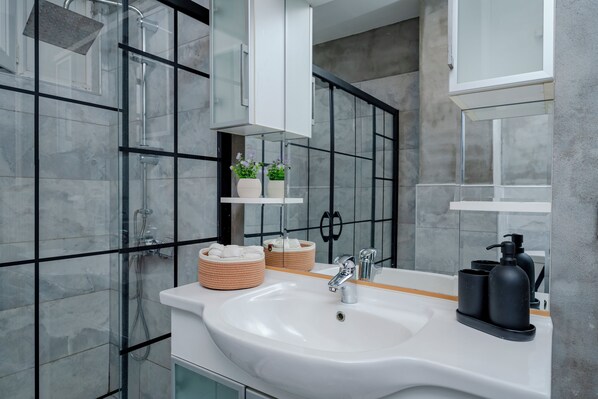 Shower, hair dryer, bidet, towels