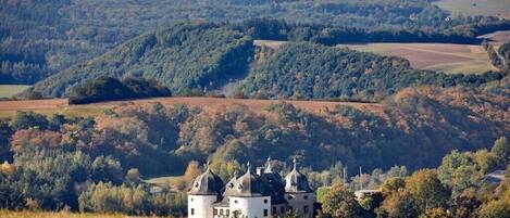 A large, white building with multiple domed roofs surrounded by a forested landscape.