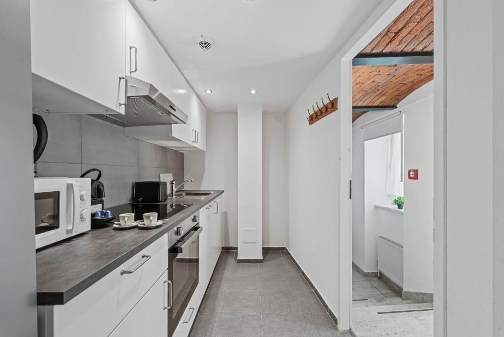 Studio, 1 King Bed with Sofa bed | Private kitchen