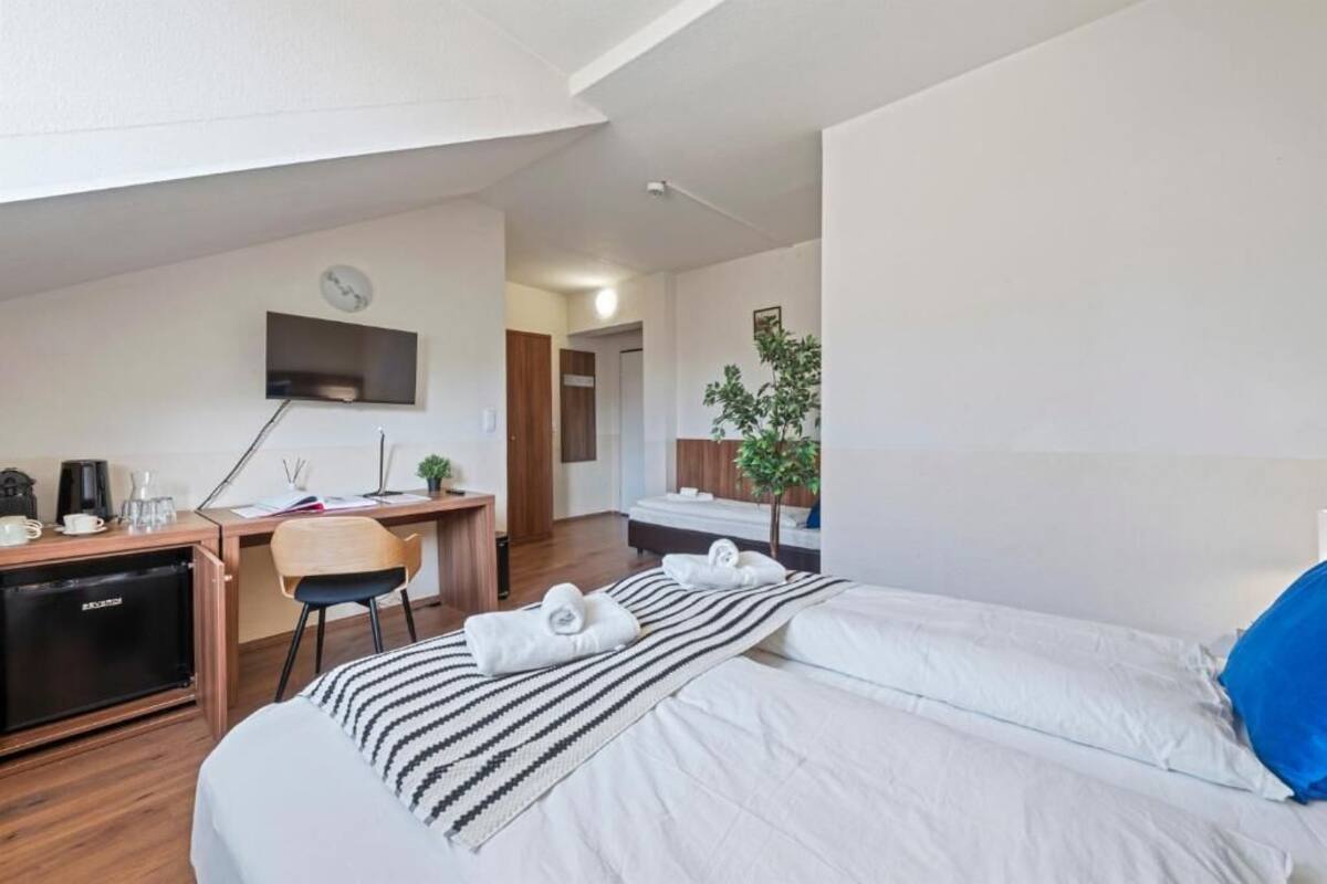A hotel room with a bed, a desk, a chair, a TV, and a small plant.