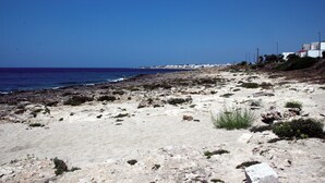 A rocky beach with sparse vegetation, a clear blue sky, and buildings in the distance. - Villino Salentum With Private Pool and Garden (Racale)