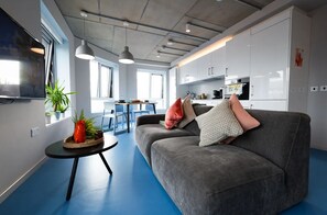 Unclassified image, 2 of 12, button - Stephen's Quarter - Aparto (Dublin)