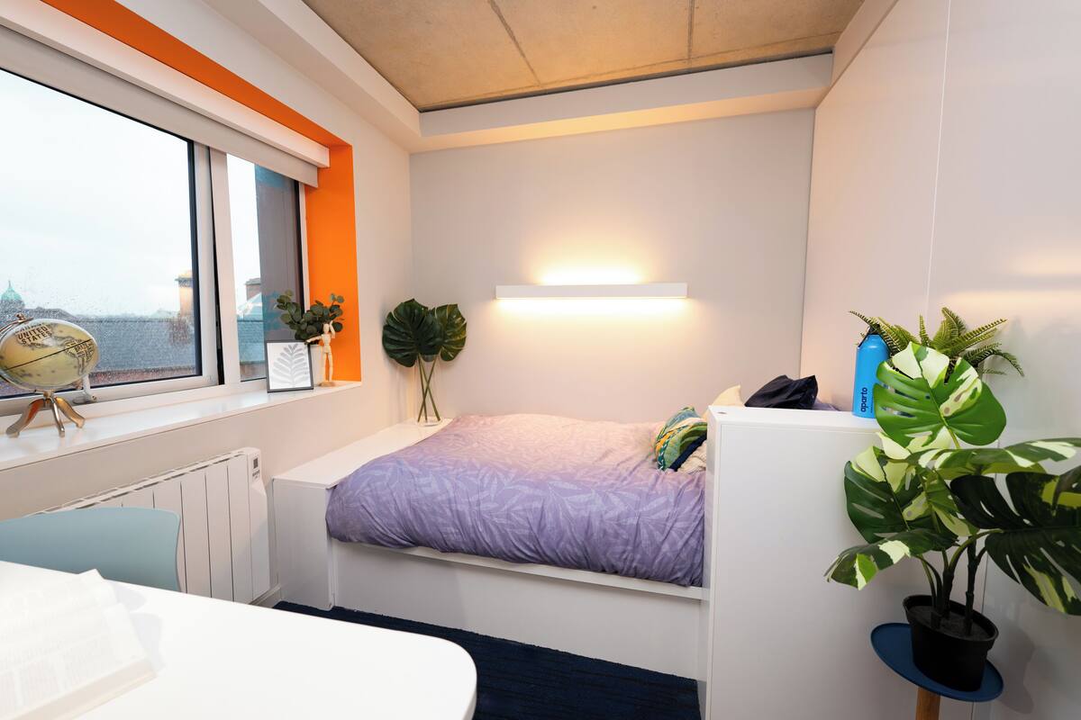 A compact room with a bed, a desk, a radiator, a window with a view, and a potted plant.