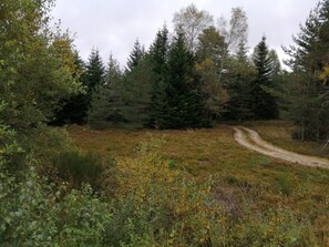 Imagen sin descripción, 5 de 18, botón