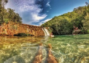 Imagen sin descripción, 5 de 21, botón