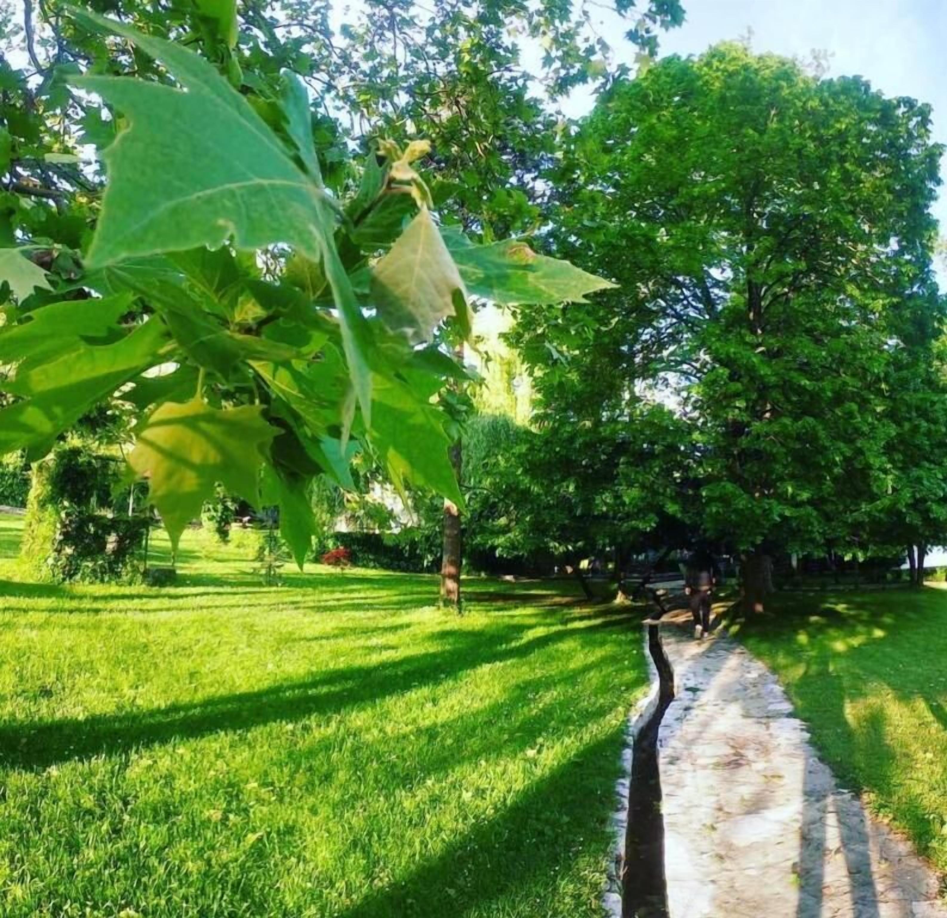 Overnattingsstedets uteområder