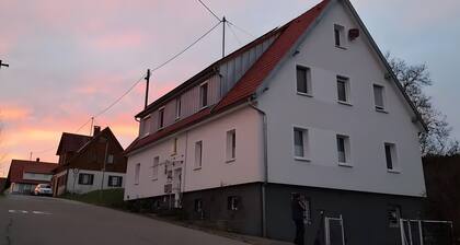 Apartment 'Ferienwohnung Zum Schwarzwaldfrosch' with Balcony and Wi-Fi