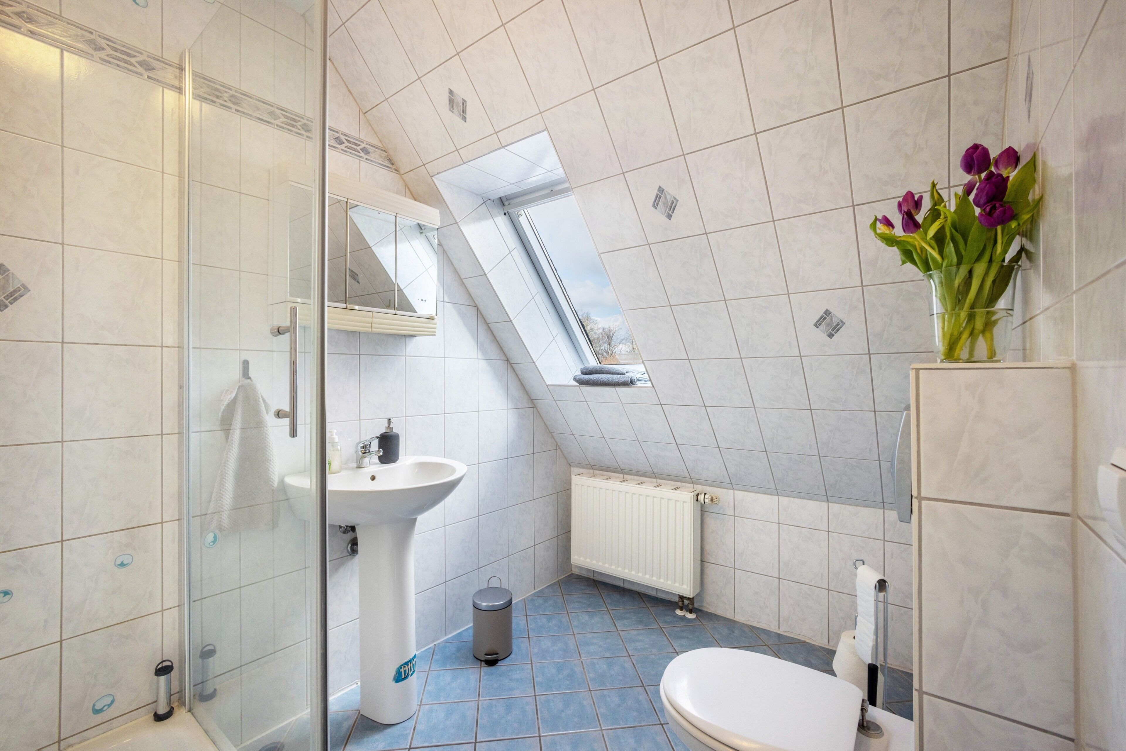 Ein Badezimmer mit Duschkabine aus Glas, einem Standwaschbecken, einer Toilette und einem Heizkörper.