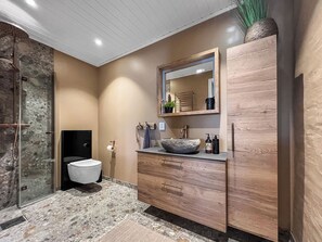 Hair dryer, towels, soap, toilet paper
