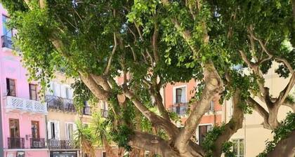 Sa Prazza Guesthouse