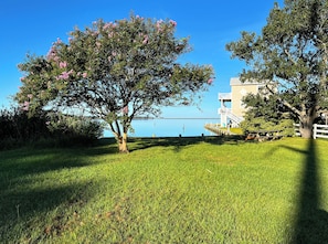A grassy area with a tree and a building with a balcony. - Iconic Avalon Beach Bungalow Close to Everything Kill Devil Hills Has to Offer! (Kill Devil Hills)