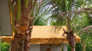 A pathway leading to a building with a thatched roof entrance, surrounded by palm trees and greenery. - FOREST HOME PHU QUOC (Phu Quoc)