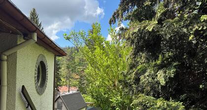 Welcome to the Waldhaus zur Kleinbahn!