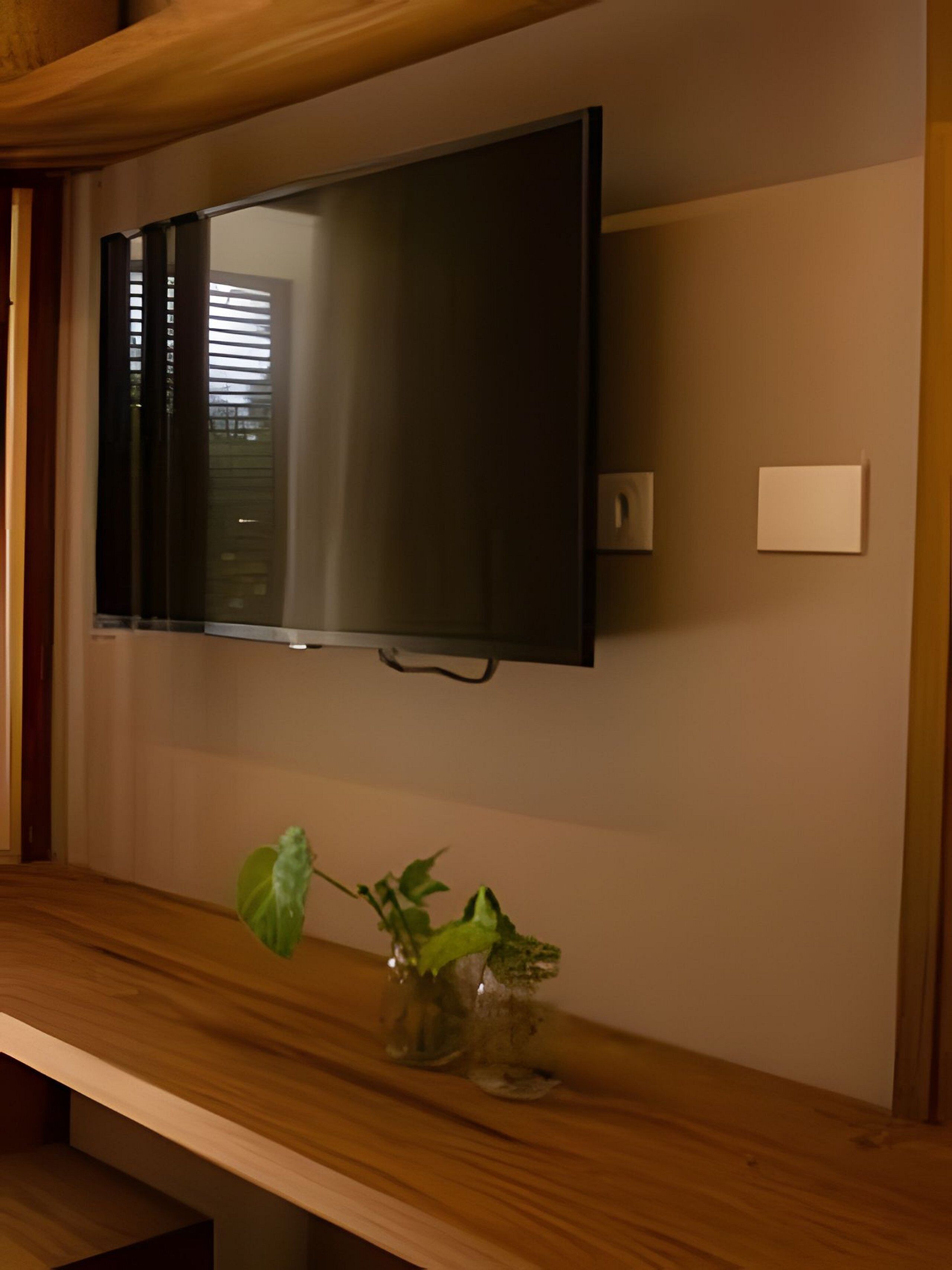 Apartment | Television