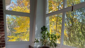 Un coin salon accueillant avec un banc blanc et des coussins à rayures, une plante en pot et une vue sur les arbres d’automne à travers de grandes fenêtres.