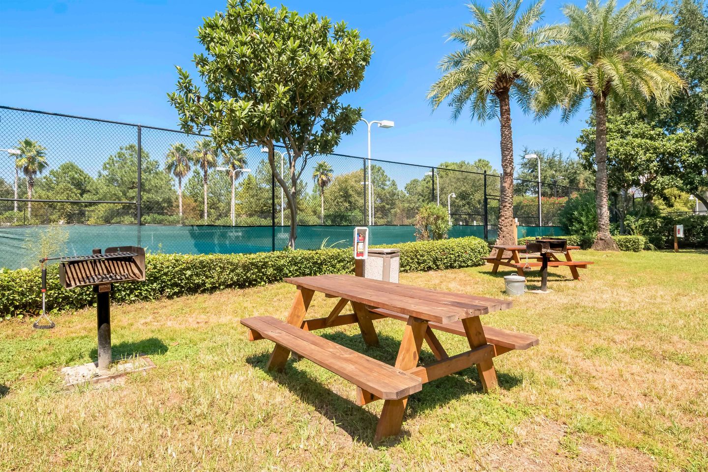 A picnic area with wooden benches and a barbecue grill, surrounded by a fence and palm trees.