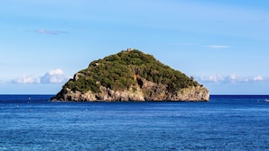 Una pequeña isla con costa rocosa y vegetación densa.