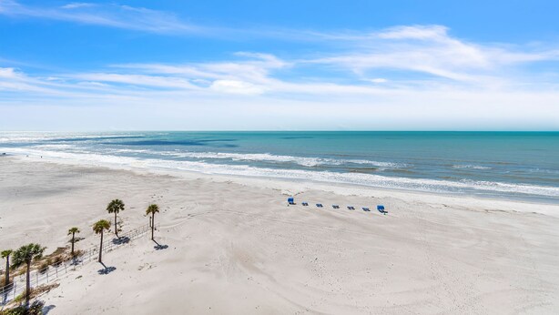 Ein Strand mit einer Reihe blauer Liegestühle und ein paar Palmen.