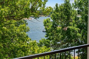 Property grounds - The Lakeview Condo Lakefront (Branson)