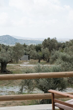 1 bedroom - Country House Pantotina Kaloxylos Naxos (Naxos)