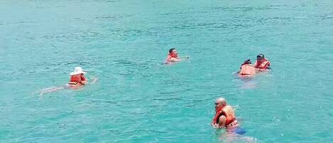 A group of people in a clear blue sea, some wearing life jackets.