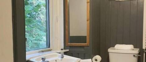 Une salle de bain avec un lavabo, des toilettes et un miroir.