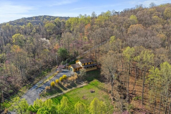 Nicht klassifiziertes Bild, 1 von 50, Schaltfläche