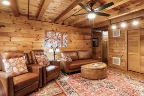 Télévision, cheminée, espaces bureaux