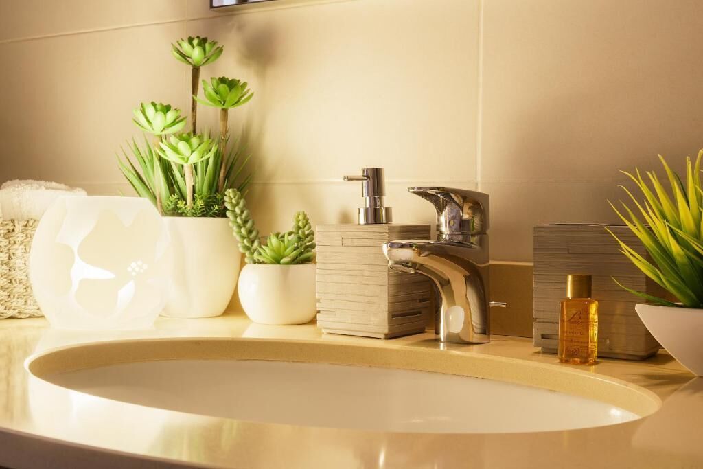 Un bany amb un lavabo, un mirall, un robinet i plantes decoratives.