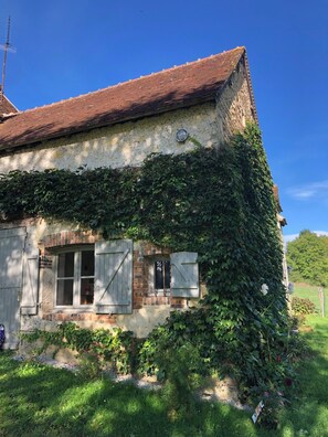 Botó d’imatge sense classificar, 4 de 31