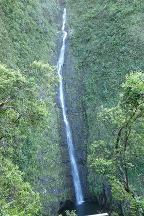 Oklassificerad bild, 2 av 5, knapp